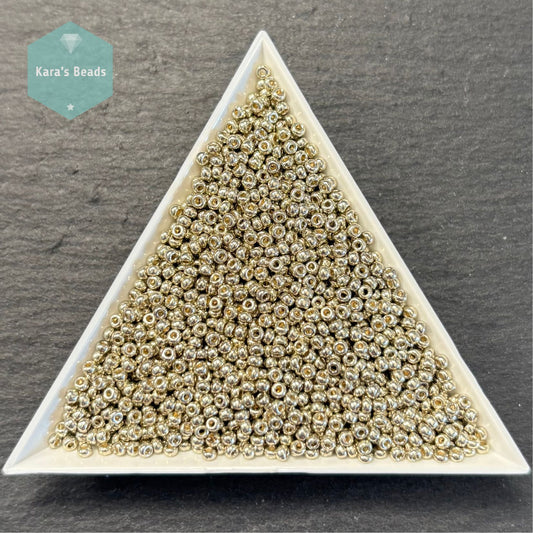 25g Tube 11/0 Miyuki Seed Beads RR11-4221 Duracoat Galvanized Light Pewter